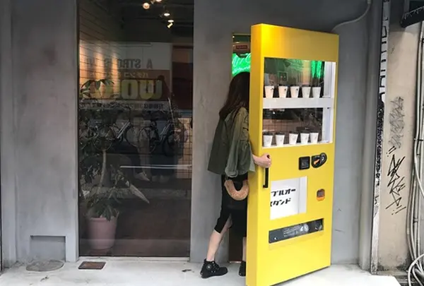 ダブルオースタンド