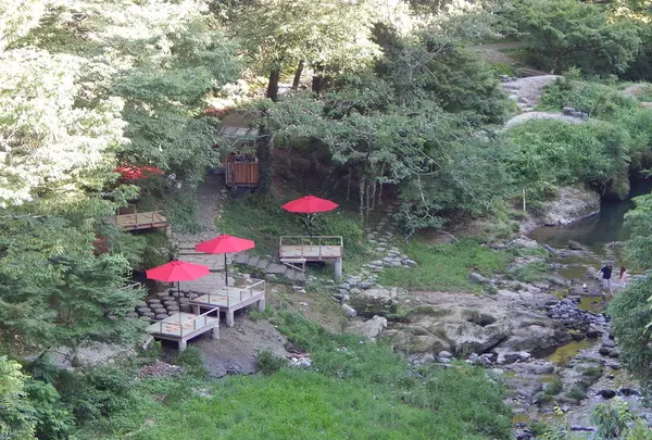 あやとりはしの写真・動画_image_219462