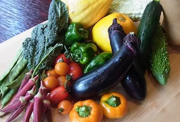 VEGETABLE HOUSE WANOBA