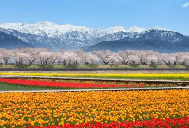 北陸の絶景7選