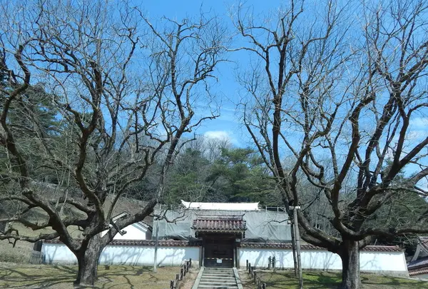 特別史跡旧閑谷学校の写真・動画_image_124407