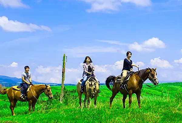 エルパティオ牧場