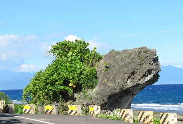紅番石の写真・動画_image_538536