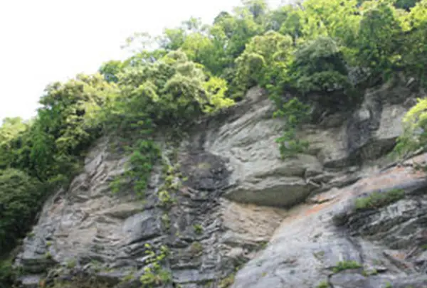 長瀞ライン下りの写真・動画_image_45196