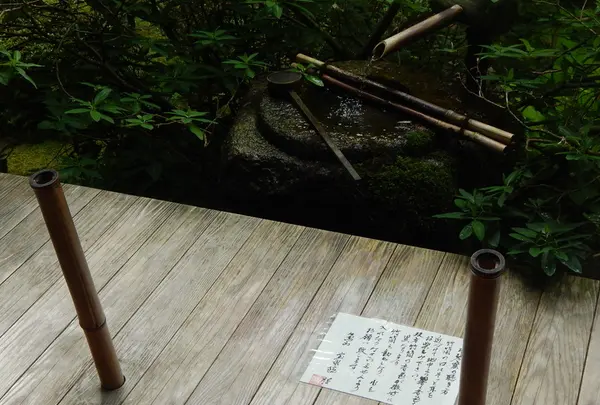 宝泉院の写真・動画_image_85451