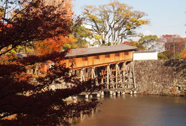 紅葉渓庭園の写真・動画_image_16747