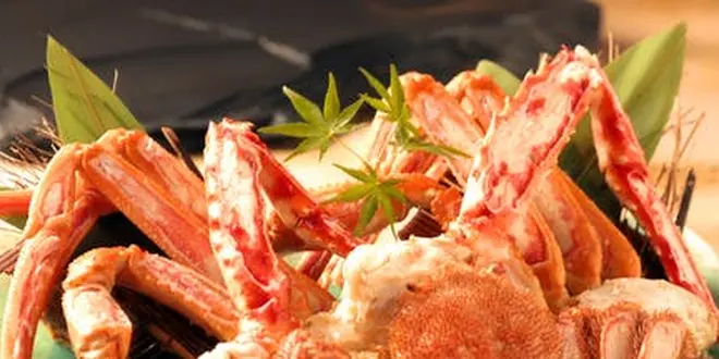 蟹ざんまいの宿🦀で冬籠り
