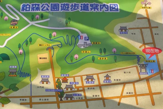 遊歩道が続いています