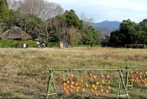 前の畑に…