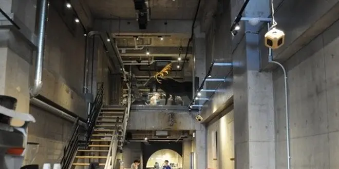 隠れ珈琲ストリート「合羽橋道具街」で味わう一杯