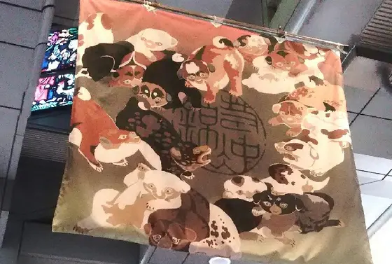 コロコロのワンちゃんに