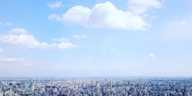 お父さん必見！子供と遊ぶ、山とギャラリー