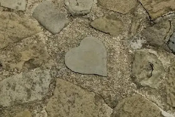 見つけた！ハートストーン💗