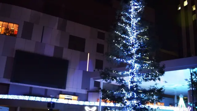 東京イルミネーション探訪