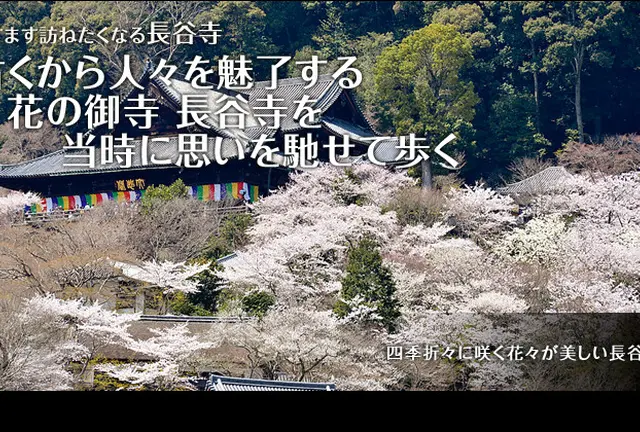 巡ります。