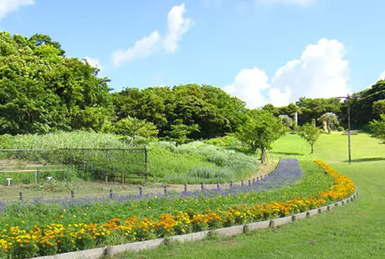 開放感にあふれる園内