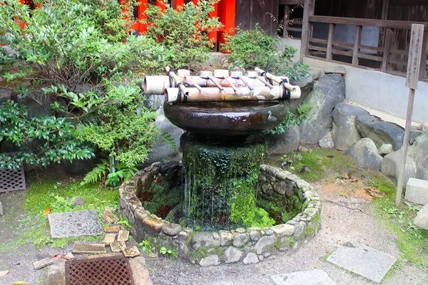 手水鉢にも鳩のモチーフが