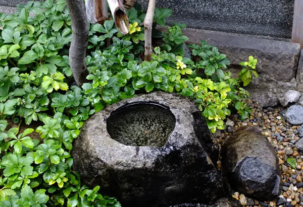 伏見三大名水のひとつ