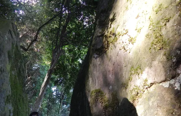 太陽信仰☀