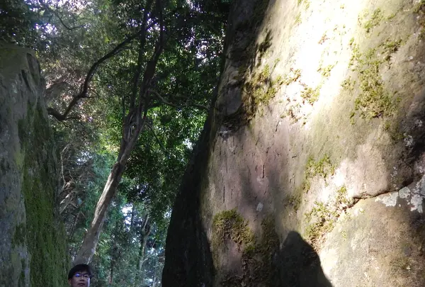 神谷太刀宮（神谷神社）の写真・動画_image_430828