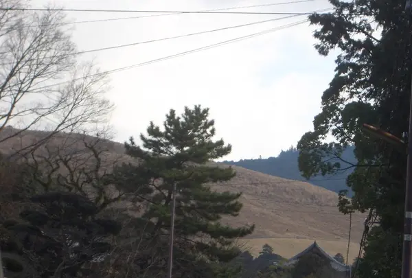 若草山