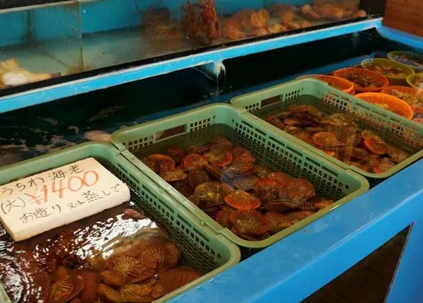 こちらは魚介類 生きてます！