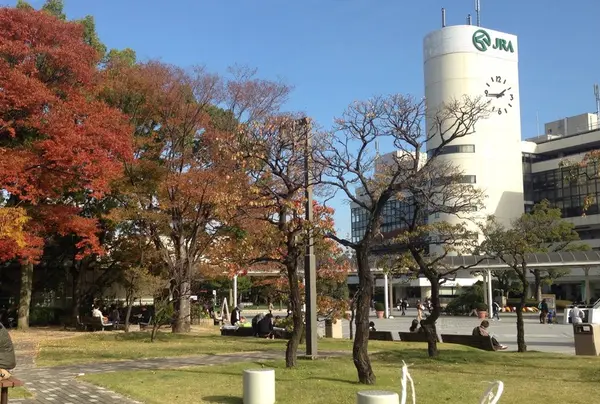 パドック近くの広場