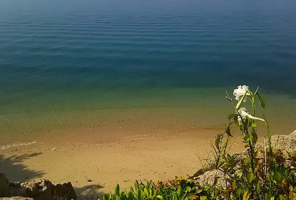 エデンの海パーキングエリアの写真・動画_image_167243