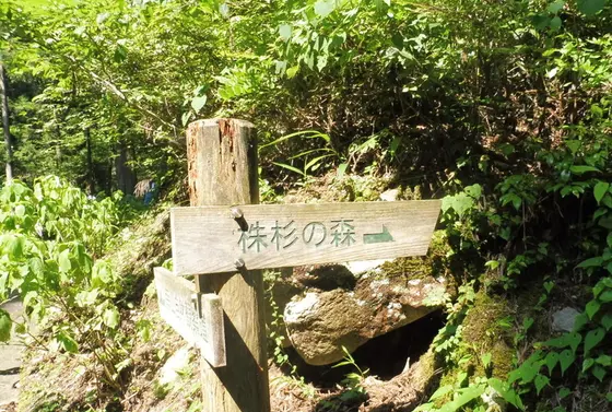 1周して３０分ぐらいの散策路