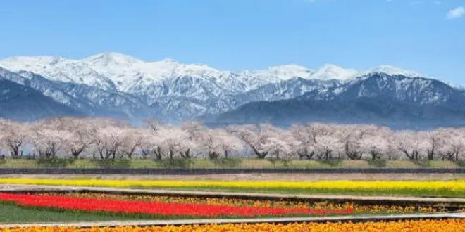 北陸の絶景7選