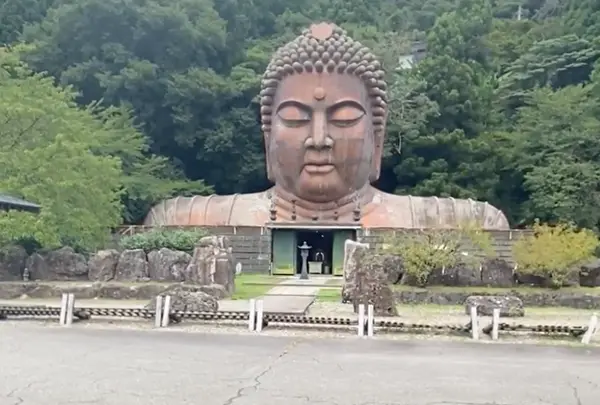 ハニベ巌窟院の写真・動画_image_1554345