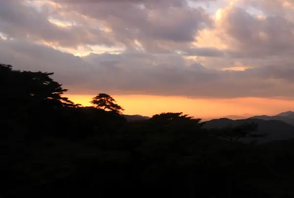 空から夕景