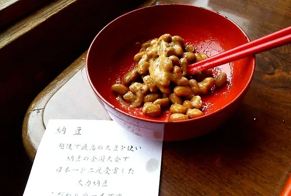駒の湯山荘の写真・動画_image_153123