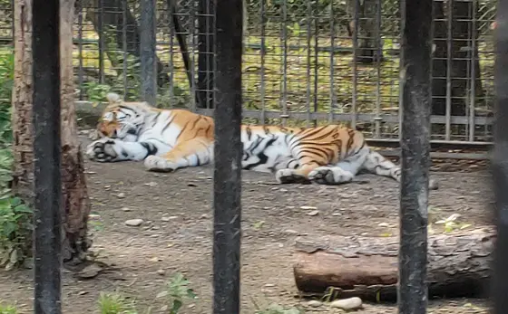 北海道も夏は暑い