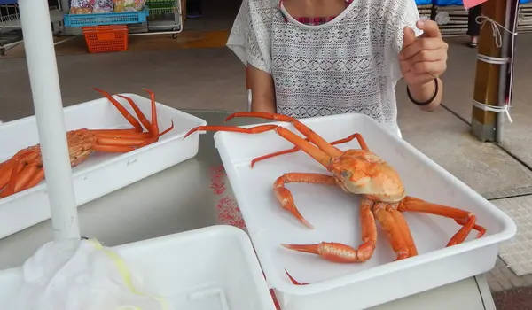 道の駅マリンドリーム能生の写真・動画_image_152895