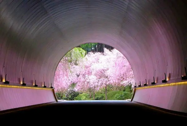 MIHO MUSEUM
