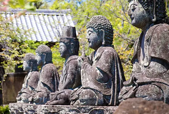 五智山「蓮華寺」