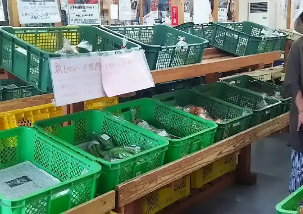 「旬菜市場」には新鮮な農産物がズラリ！