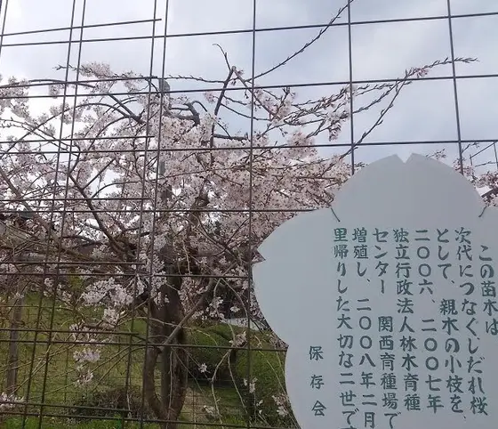 そして、次の世代を担うものへ