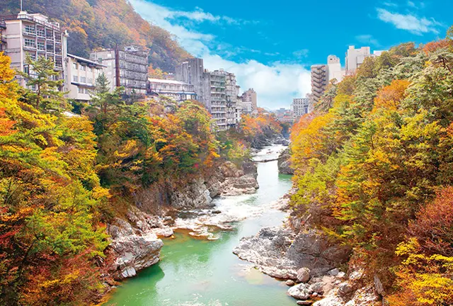 【鬼怒川温泉】のんびり癒し旅(1泊2日)★行程あり★