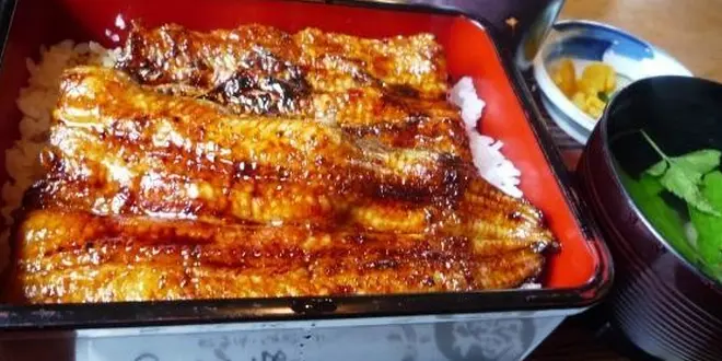 天浜線でめぐる『しずおかグルメ』