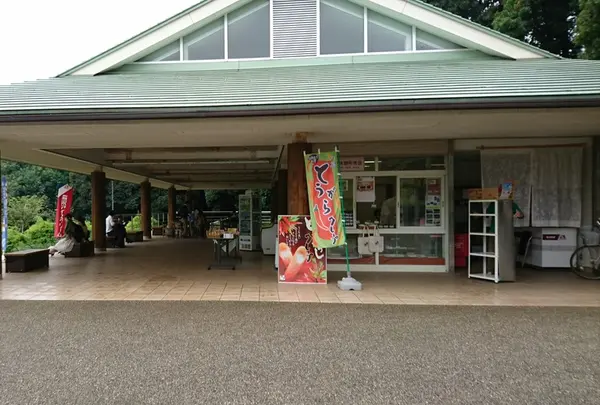 新宿御苑の写真・動画_image_109374