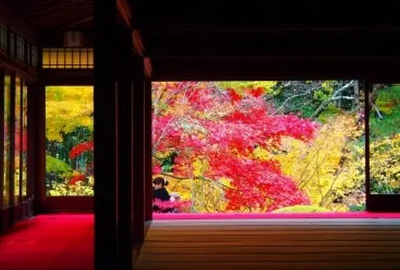 庭の紅葉が見事です。