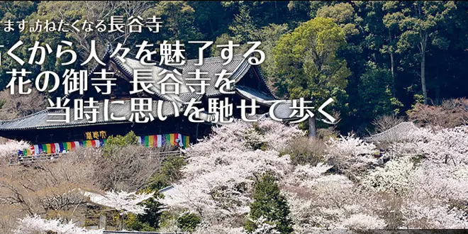 巡ります。