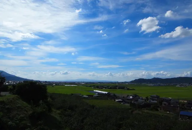 筑紫平野と巨峰と豚と...♫