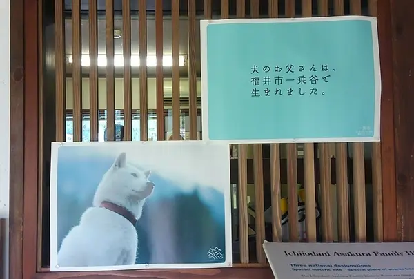 お父さんの故郷