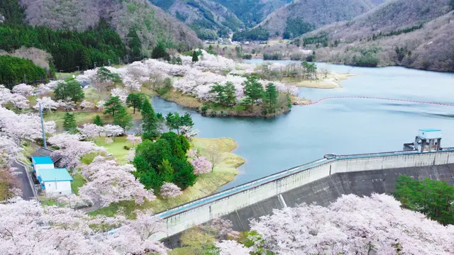 知る人ぞ知る「京都美山」おすすめ桜スポット3選