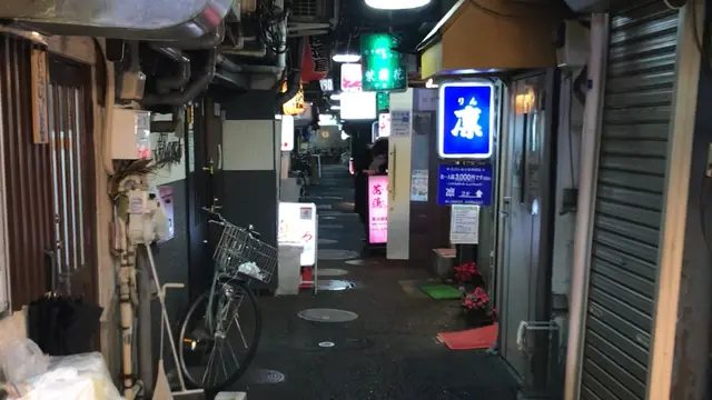 【東京】大井町でひとりではしご酒♪