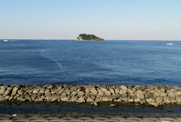 うみかぜ公園の写真・動画_image_68248