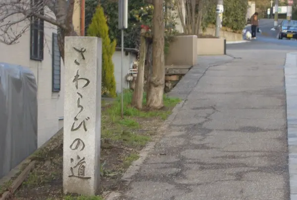 さわらびの道の写真・動画_image_293390
